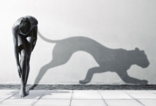 αφροδισιακά